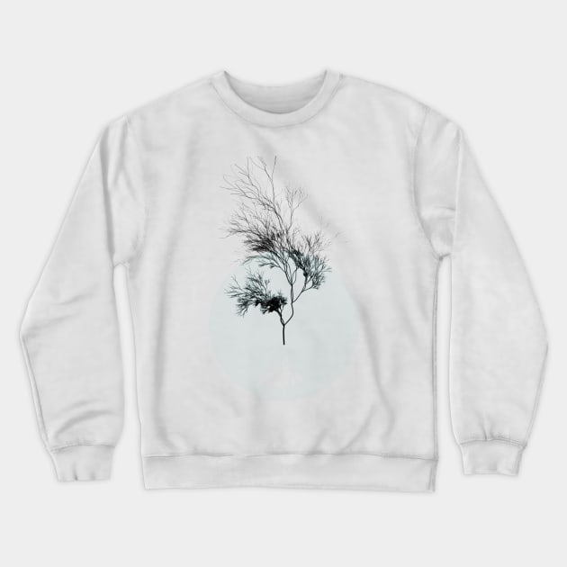 Minimalist Tree Crewneck Sweatshirt by cwtu26